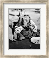 1930s Very Old Chimpanzee Fine Art Print