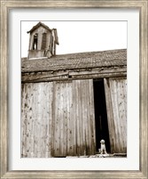 Barnyard Dog Fine Art Print