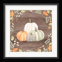 Autumn Offering I Dark Framed Print