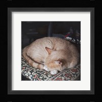 Sleepy Afternoon Fine Art Print
