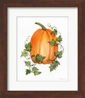 Pumpkin and Vines IV Fine Art Print