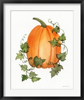 Pumpkin and Vines IV Fine Art Print
