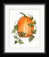 Pumpkin and Vines IV Framed Print