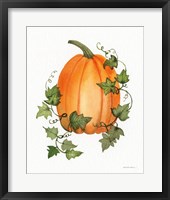 Pumpkin and Vines IV Framed Print