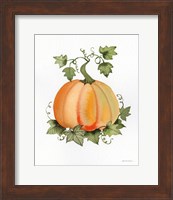 Pumpkin and Vines II Fine Art Print