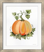 Pumpkin and Vines II Fine Art Print