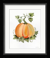 Pumpkin and Vines II Framed Print