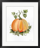 Pumpkin and Vines II Framed Print