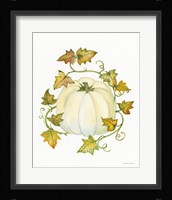 Pumpkin and Vines III Framed Print