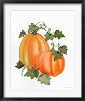 Pumpkin and Vines I Fine Art Print