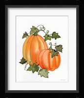 Pumpkin and Vines I Framed Print