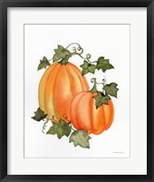 Pumpkin and Vines I Framed Print