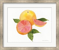 Citrus Garden X Fine Art Print
