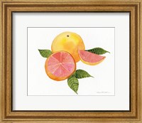 Citrus Garden X Fine Art Print