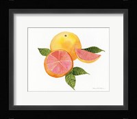 Citrus Garden X Framed Print