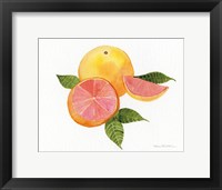 Citrus Garden X Framed Print