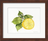Citrus Garden IX Fine Art Print