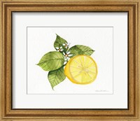 Citrus Garden IX Fine Art Print