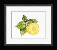 Citrus Garden IX Framed Print