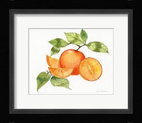 Citrus Garden VIII Framed Print