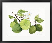 Citrus Garden VII Fine Art Print