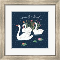 Swan Lake V Fine Art Print