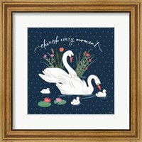 Swan Lake IV Fine Art Print