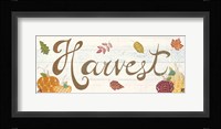 Autumn Bounty III Framed Print