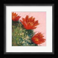 Blooming Succulent IV Framed Print