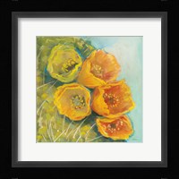 Blooming Succulent II Framed Print