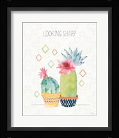 Sweet Succulents III Framed Print