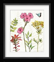 Simply Petals VI Framed Print