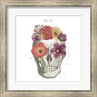 Floral Skull II Fine Art Print