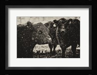 Its Snowing Fine Art Print