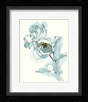 Carols  Roses IV Cerulean Framed Print
