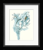 Carols Roses III Cerulean Framed Print