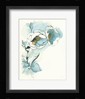 Carols Roses II Cerulean Framed Print