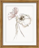 Three Somniferums Poppies Neutral II Fine Art Print