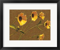 Sunny Flowers III Framed Print