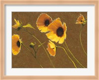 Sunny Flowers I Fine Art Print