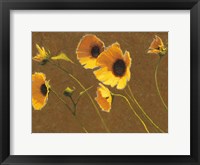 Sunny Flowers I Framed Print