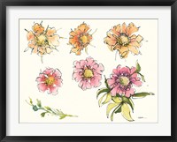 Scabiosa Bits Fine Art Print