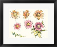 Scabiosa Bits Fine Art Print