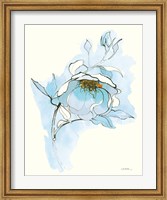 Carols Roses V Blue Fine Art Print