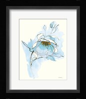 Carols Roses V Blue Framed Print
