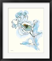 Carols Roses IV Blue Fine Art Print