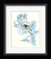 Carols Roses IV Blue Fine Art Print