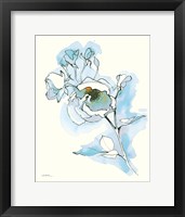 Carols Roses IV Blue Framed Print