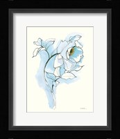Carols Roses III Blue Framed Print