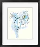 Carols Roses III Blue Fine Art Print